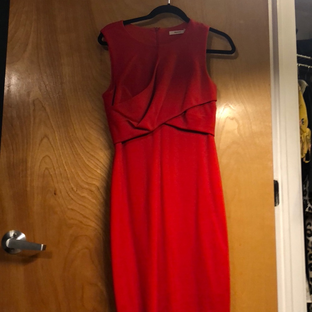 Bailey44 Dress